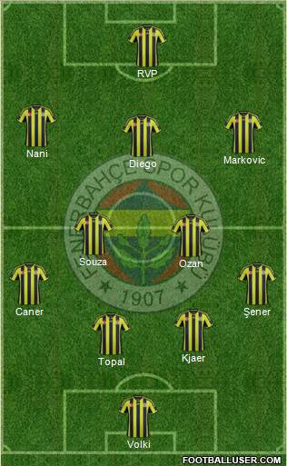 Fenerbahçe SK Formation 2015
