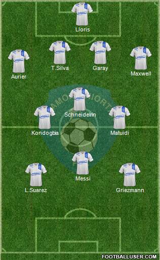 Chamois Niortais Football Club Formation 2015
