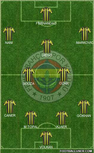 Fenerbahçe SK Formation 2015