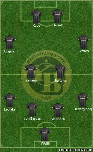BSC Young Boys Formation 2015