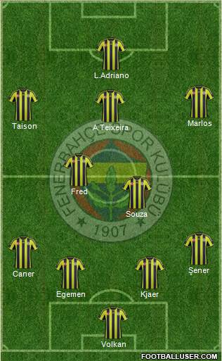 Fenerbahçe SK Formation 2015