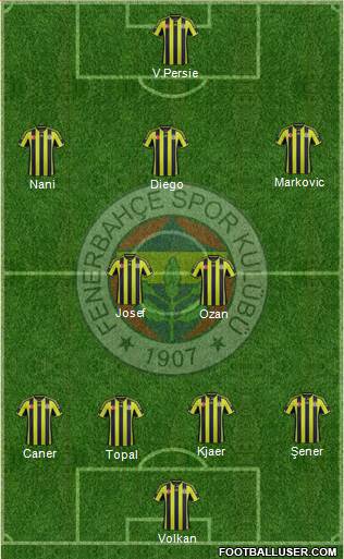 Fenerbahçe SK Formation 2015