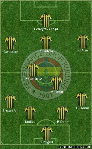Fenerbahçe SK Formation 2015