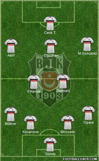 Besiktas JK Formation 2015