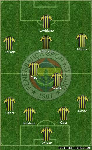 Fenerbahçe SK Formation 2015