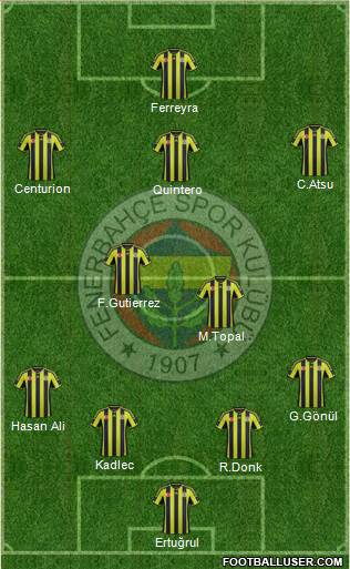 Fenerbahçe SK Formation 2015