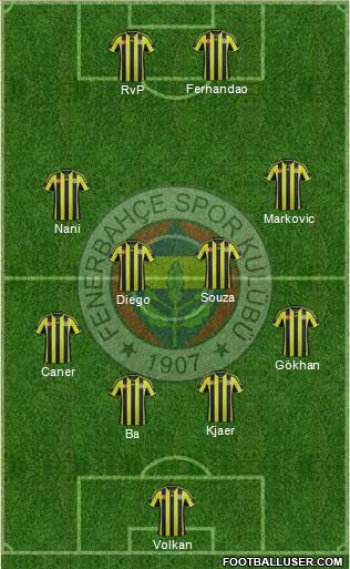 Fenerbahçe SK Formation 2015
