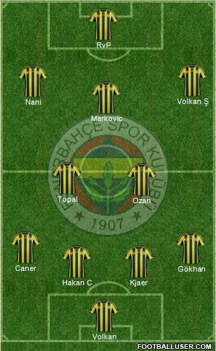 Fenerbahçe SK Formation 2015