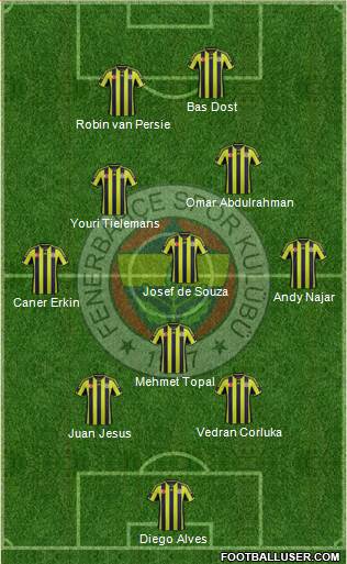 Fenerbahçe SK Formation 2015