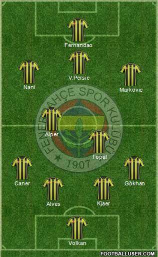 Fenerbahçe SK Formation 2015