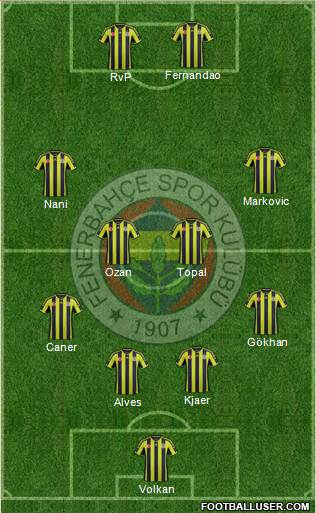 Fenerbahçe SK Formation 2015