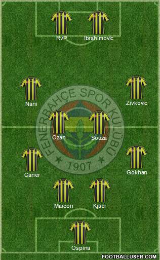 Fenerbahçe SK Formation 2015