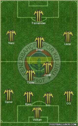 Fenerbahçe SK Formation 2015