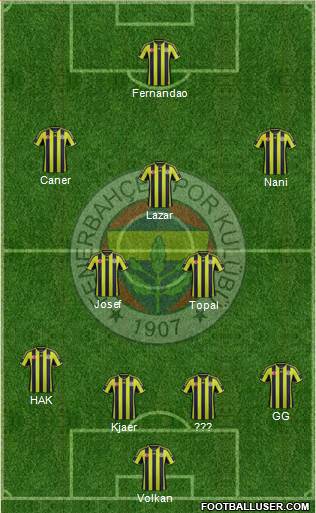 Fenerbahçe SK Formation 2015