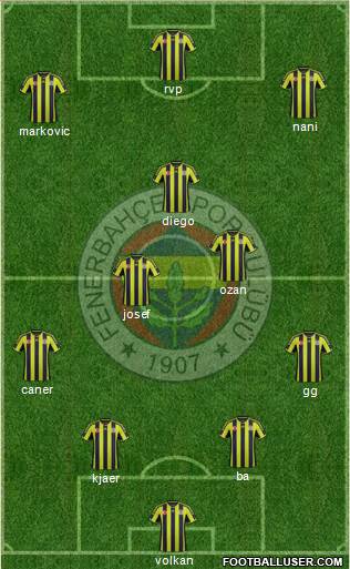 Fenerbahçe SK Formation 2015