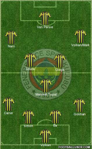 Fenerbahçe SK Formation 2015