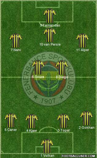 Fenerbahçe SK Formation 2015