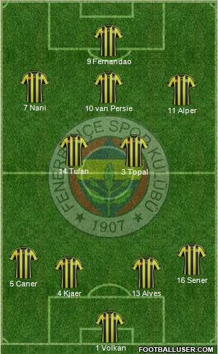 Fenerbahçe SK Formation 2015