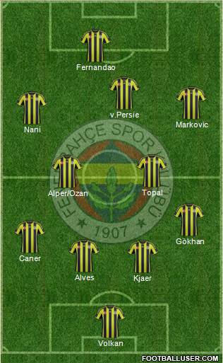 Fenerbahçe SK Formation 2015