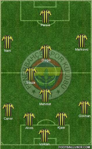 Fenerbahçe SK Formation 2015