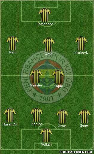 Fenerbahçe SK Formation 2015