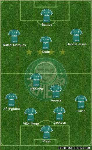 SE Palmeiras Formation 2015