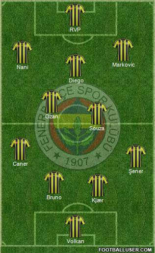 Fenerbahçe SK Formation 2015