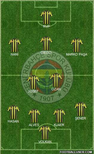 Fenerbahçe SK Formation 2015