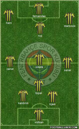 Fenerbahçe SK Formation 2015