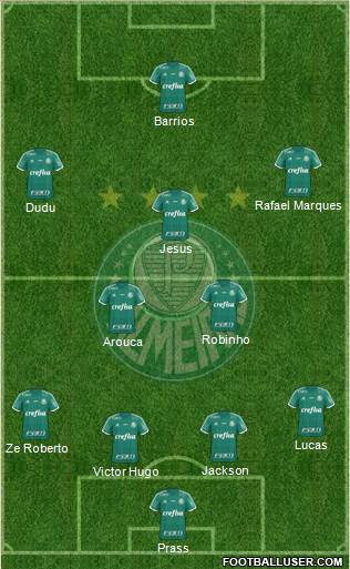 SE Palmeiras Formation 2015