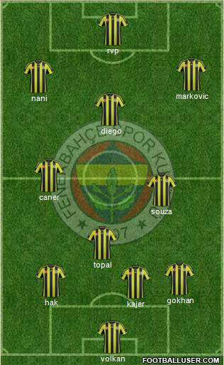 Fenerbahçe SK Formation 2015