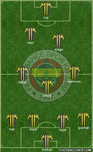 Fenerbahçe SK Formation 2015