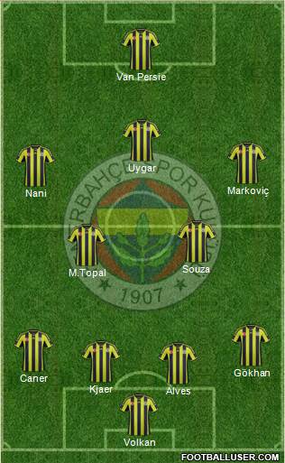 Fenerbahçe SK Formation 2015