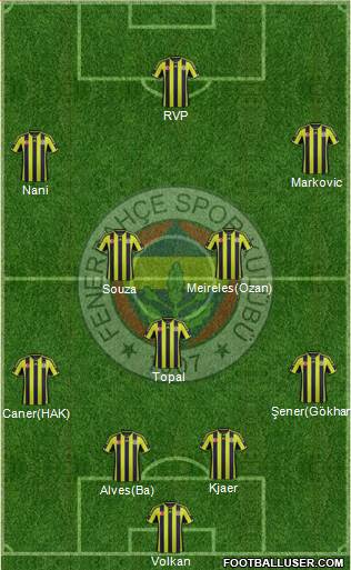 Fenerbahçe SK Formation 2015