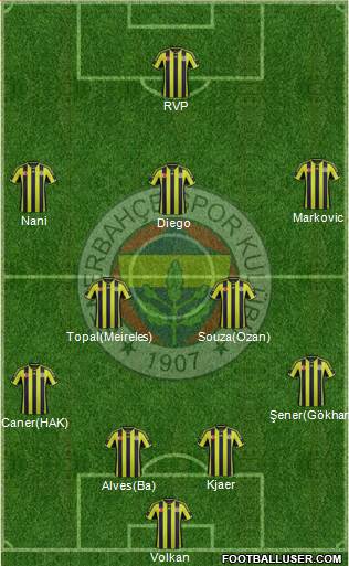 Fenerbahçe SK Formation 2015