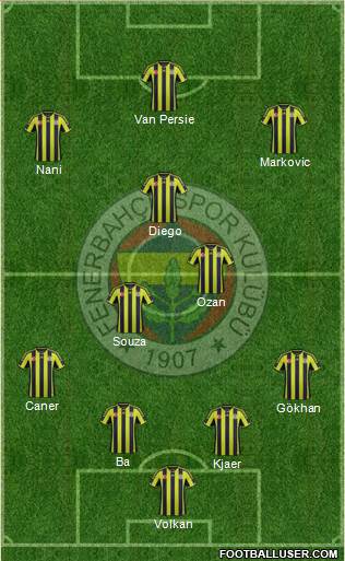 Fenerbahçe SK Formation 2015