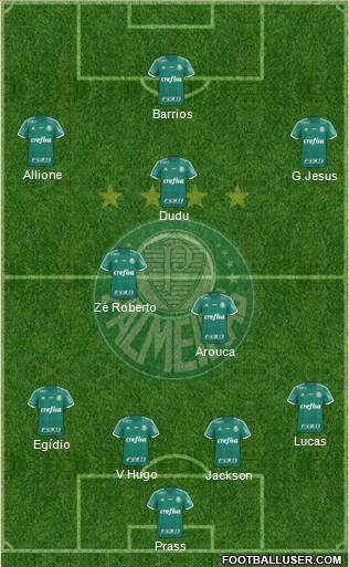 SE Palmeiras Formation 2015