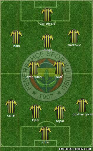 Fenerbahçe SK Formation 2015