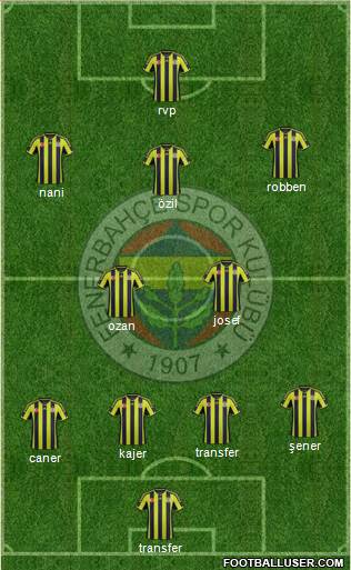 Fenerbahçe SK Formation 2015