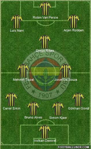 Fenerbahçe SK Formation 2015