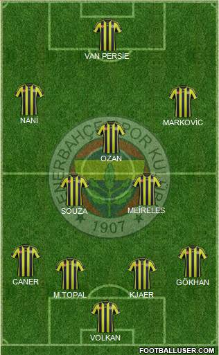 Fenerbahçe SK Formation 2015