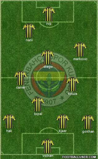 Fenerbahçe SK Formation 2015