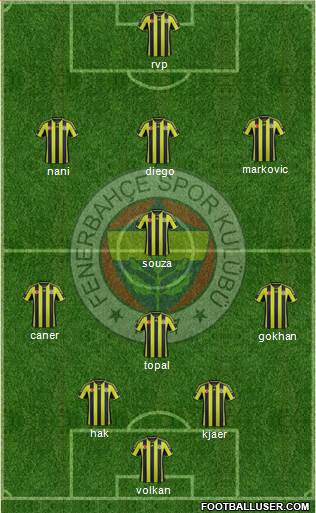 Fenerbahçe SK Formation 2015