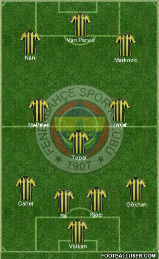 Fenerbahçe SK Formation 2015