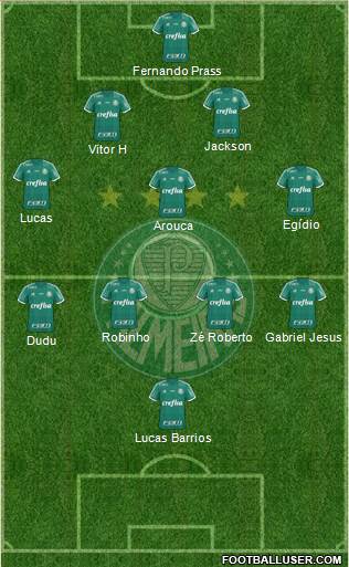 SE Palmeiras Formation 2015
