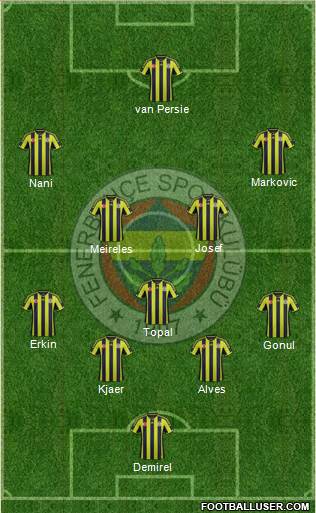 Fenerbahçe SK Formation 2015