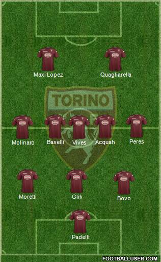 Torino Formation 2015