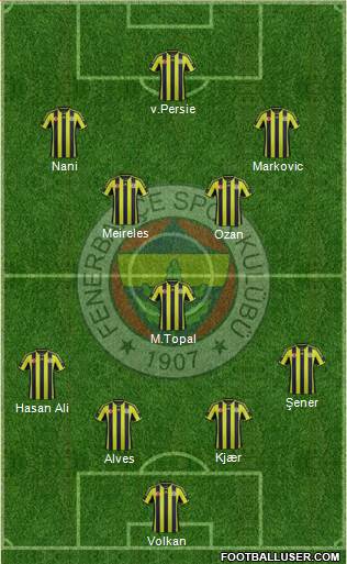 Fenerbahçe SK Formation 2015