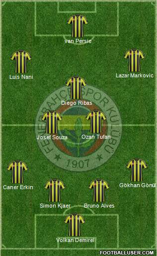 Fenerbahçe SK Formation 2015