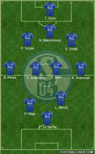 FC Schalke 04 Formation 2015